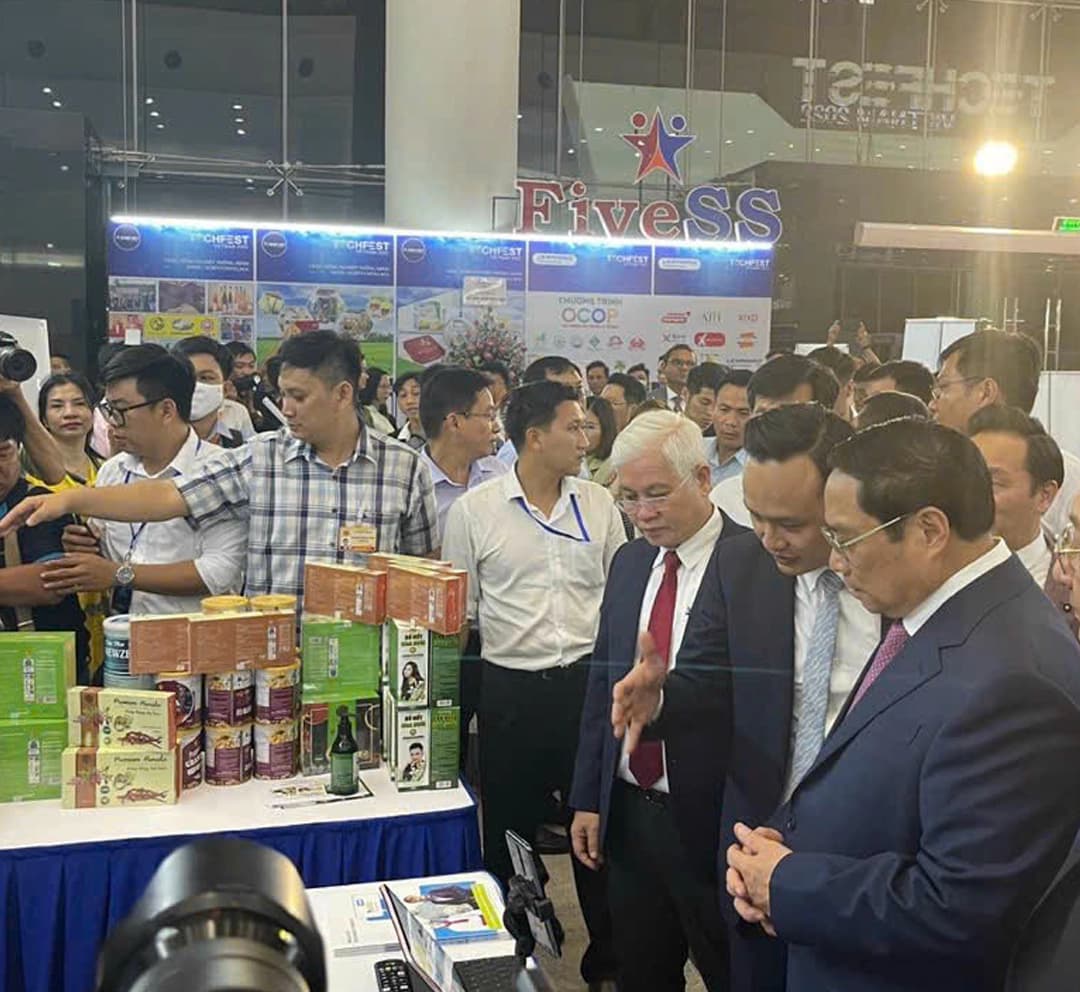 Hoạt động HelloJob 7