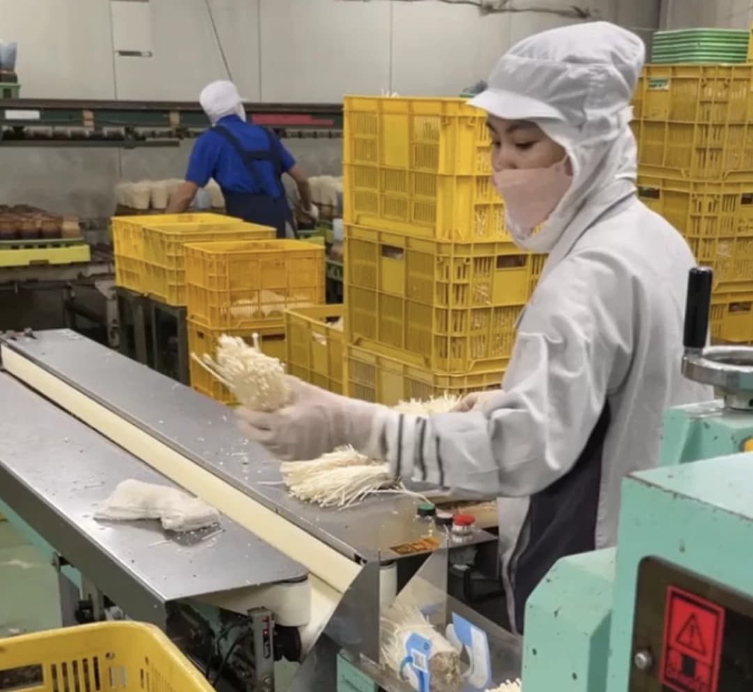 Hoạt động HelloJob 21